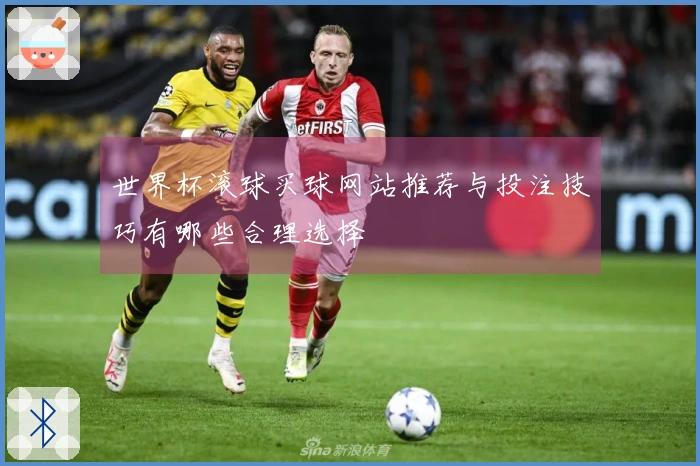 世界杯滚球买球网站推荐与投注技巧有哪些合理选择