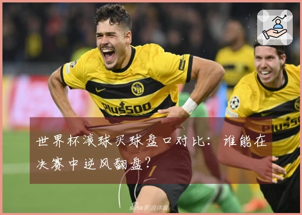 世界杯滚球买球盘口对比：谁能在决赛中逆风翻盘？