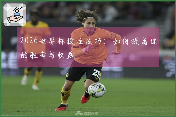 2026世界杯投注技巧：如何提高你的胜率与收益