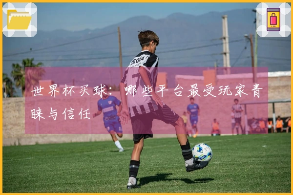 世界杯买球：哪些平台最受玩家青睐与信任