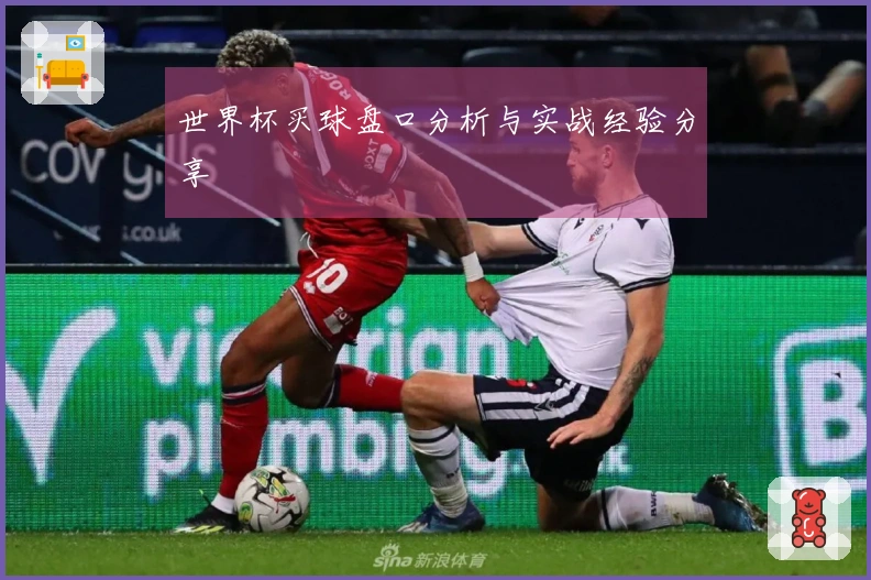 世界杯买球盘口分析与实战经验分享