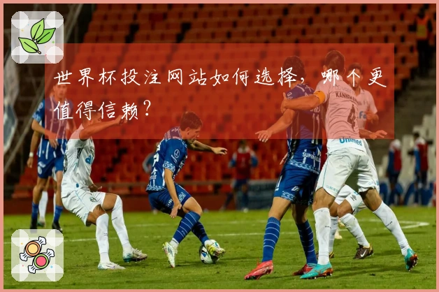 世界杯投注网站如何选择，哪个更值得信赖？