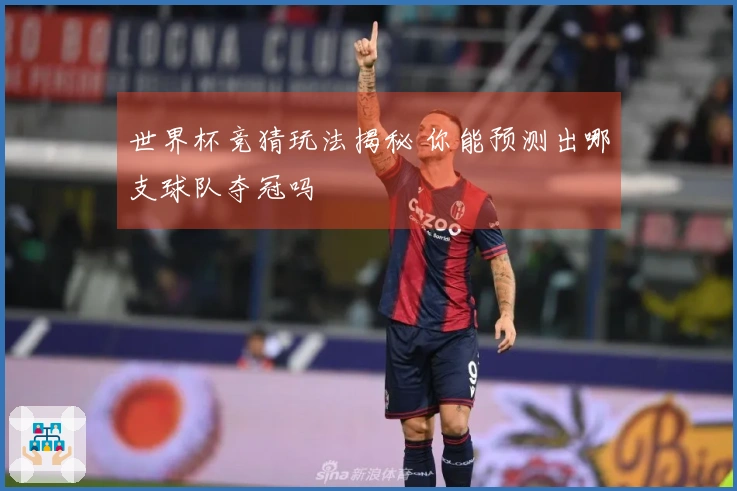 世界杯竞猜玩法揭秘 你能预测出哪支球队夺冠吗