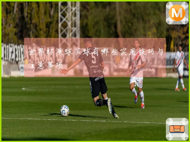 世界杯滚球买球有哪些实用技巧与注意事项